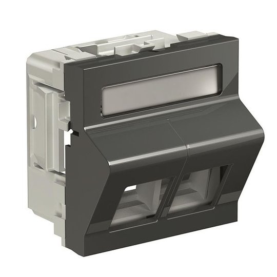 Schneider Electric INS64113 Liitinrasia 2 liitintä Harmaa