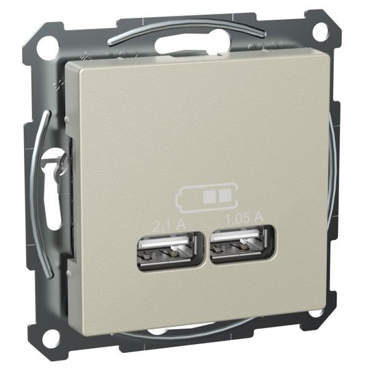 Schneider Electric Exxact WDE002928 Latausasema 2,1 A, tyyppi A Metalli