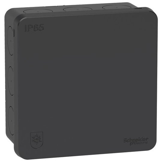Schneider Electric IMT35336 Kytkentärasia IP65, 2K Antrasiitti