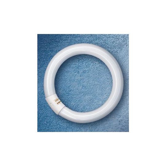 Osram LUMILUX T9 C Rengasloistelamppu G10Q 22W/827