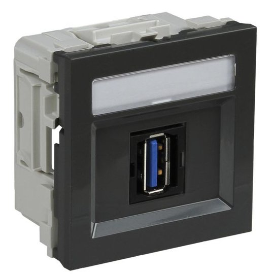 Schneider Electric INS64215 Multimedialiitäntä USB, merkkikilvellä Harmaa