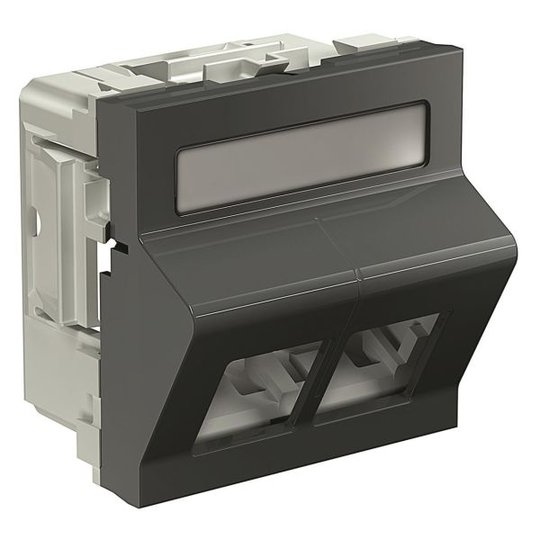 Schneider Electric INS64103 Liitinrasia 2 liitintä Harmaa