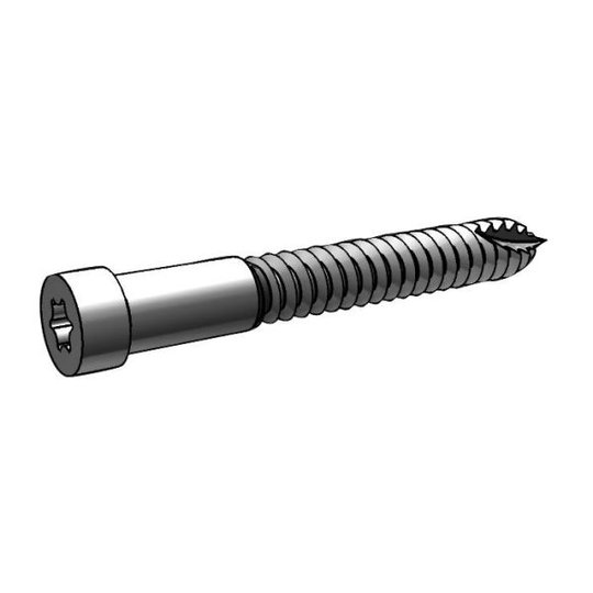 ESSVE Indu-Prog Puuruuvi 100 kpl:n pakkaus 8,0x58mm
