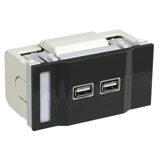 Schneider Electric INS64217 USB-laturi 2 x 1 A Harmaa