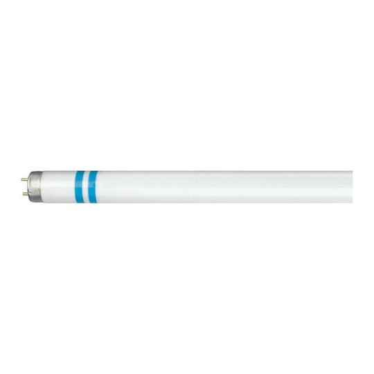 Philips MASTER TL-D Secura Loisteputki G13 Kylmä valkoinen, 3200 lm, 36 W
