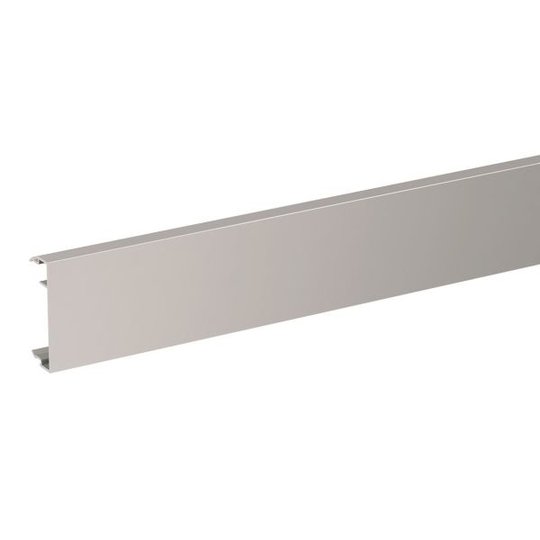 Schneider Electric INS13950 Etuosa 50 x 2500 mm Alumiini/luonnonvärinen