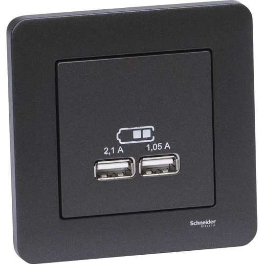 Schneider Electric Exxact Latausasema upotettava, 2 USB Antrasiitti