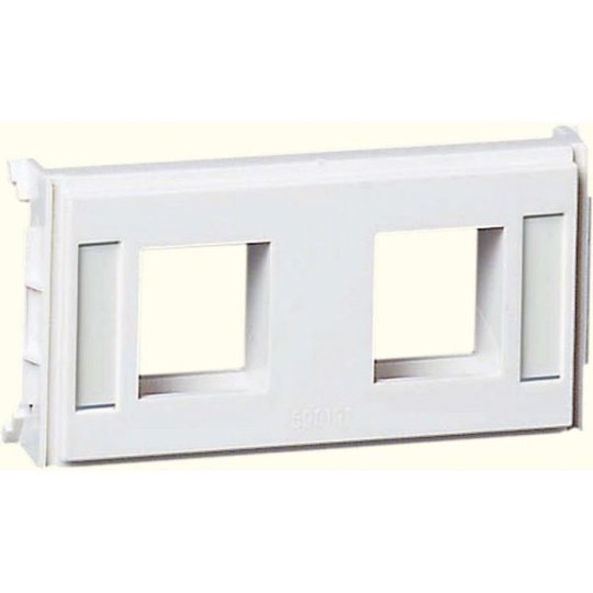 Schneider Electric 5971714 Asennusaluslevy 2 moduuli, 1 liitin