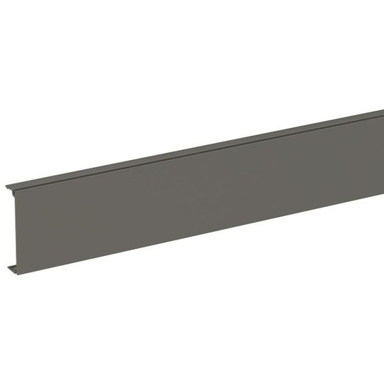 Schneider Electric INS12901 Etuosa 50 x 2500 mm Muovi/harmaa