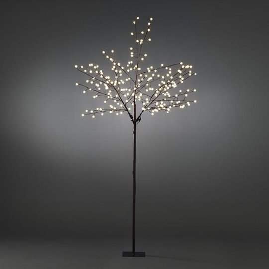 Konstsmide 3385-600 Koristevalaisin ruskea, 250 cm, 240 x LED
