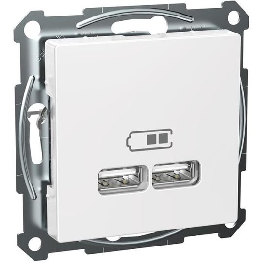 Schneider Electric Exxact WDE002926 Latausasema 2 USB, valkoinen