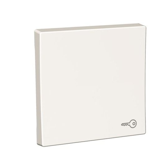 Schneider Electric Exxact Vipupainike valkoinen, symbolilla Avainsymboli